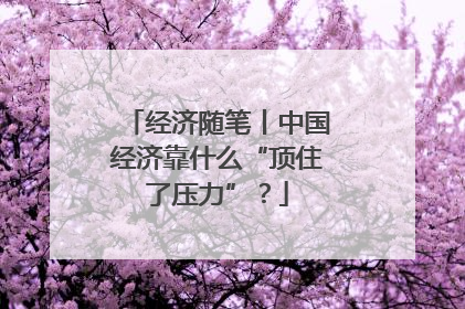 经济随笔丨中国经济靠什么“顶住了压力”？