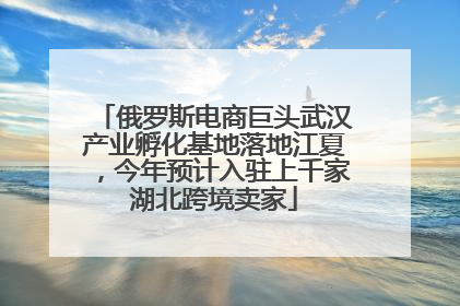 俄罗斯电商巨头武汉产业孵化基地落地江夏，今年预计入驻上千家湖北跨境卖家