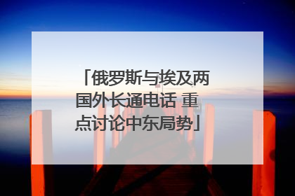俄罗斯与埃及两国外长通电话 重点讨论中东局势