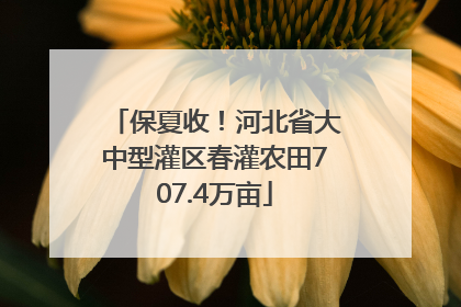 保夏收！河北省大中型灌区春灌农田707.4万亩