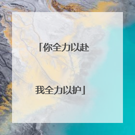 你全力以赴 我全力以护