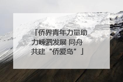 侨界青年力量助力嵊泗发展 同舟共建“侨爱岛”