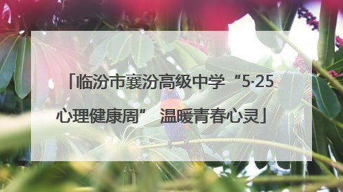 临汾市襄汾高级中学“5·25心理健康周” 温暖青春心灵