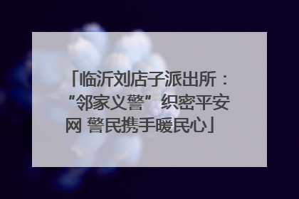 临沂刘店子派出所：“邻家义警”织密平安网 警民携手暖民心