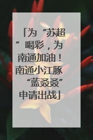 为“苏超”喝彩，为南通加油！南通小江豚“蓝叒叒”申请出战