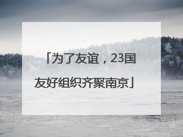 为了友谊，23国友好组织齐聚南京
