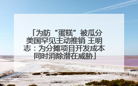 为防“蛋糕”被瓜分 美国罕见主动推销 王明志：为分摊项目开发成本同时消除潜在威胁