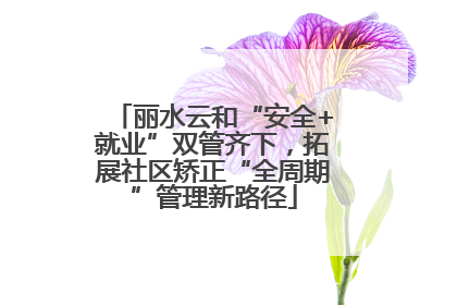 丽水云和“安全+就业”双管齐下，拓展社区矫正“全周期”管理新路径