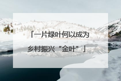 一片绿叶何以成为乡村振兴“金叶”