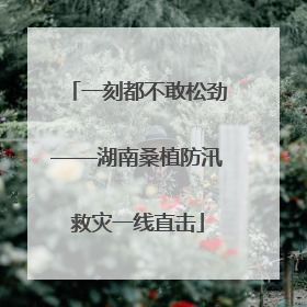 一刻都不敢松劲——湖南桑植防汛救灾一线直击