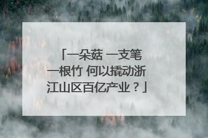 一朵菇 一支笔 一根竹 何以撬动浙江山区百亿产业？