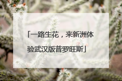 一路生花，来新洲体验武汉版普罗旺斯
