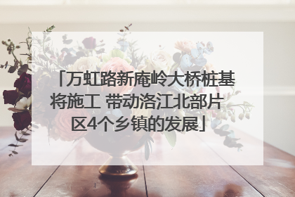 万虹路新庵岭大桥桩基将施工 带动洛江北部片区4个乡镇的发展