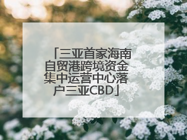 三亚首家海南自贸港跨境资金集中运营中心落户三亚CBD