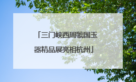 三门峡西周虢国玉器精品展亮相杭州