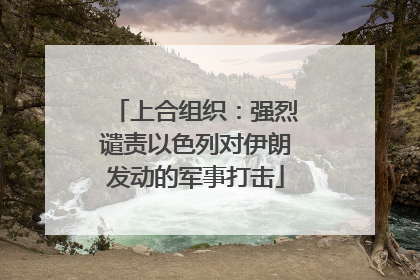 上合组织：强烈谴责以色列对伊朗发动的军事打击