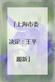 上海市委决定：王平履新