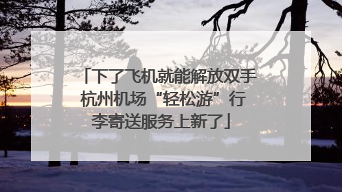 下了飞机就能解放双手 杭州机场“轻松游”行李寄送服务上新了