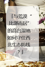 与荒漠“比邻而居”的高台湿地如何守住西北生态防线？