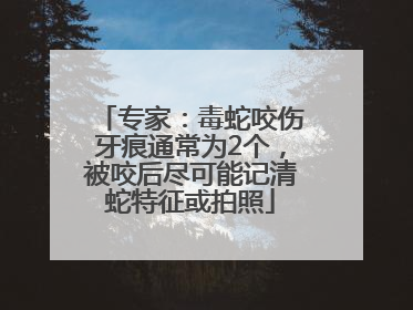 专家：毒蛇咬伤牙痕通常为2个，被咬后尽可能记清蛇特征或拍照