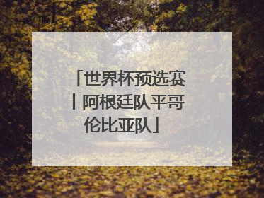 世界杯预选赛丨阿根廷队平哥伦比亚队