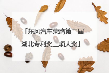 东风汽车荣膺第二届湖北专利奖三项大奖