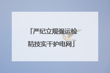严纪立规强运检 精技实干护电网