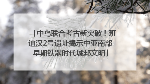 中乌联合考古新突破！班迪汉2号遗址揭示中亚南部早期铁器时代城邦文明