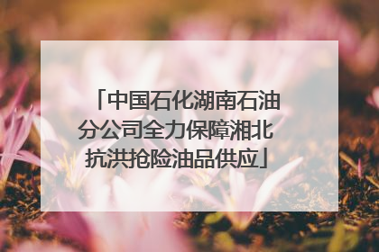 中国石化湖南石油分公司全力保障湘北抗洪抢险油品供应