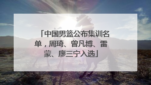 中国男篮公布集训名单，周琦、曾凡博、雷蒙、廖三宁入选