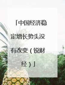 中国经济稳定增长势头没有改变（锐财经）