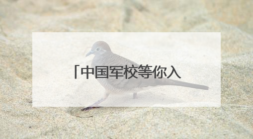 中国军校等你入列！高考加油！