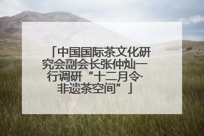 中国国际茶文化研究会副会长张仲灿一行调研“十二月令·非遗茶空间”