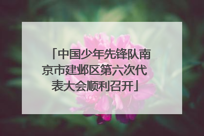 中国少年先锋队南京市建邺区第六次代表大会顺利召开
