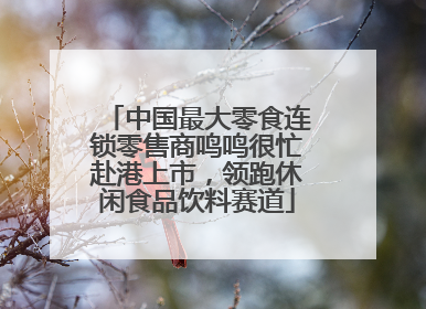中国最大零食连锁零售商鸣鸣很忙赴港上市，领跑休闲食品饮料赛道