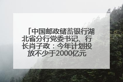 中国邮政储蓄银行湖北省分行党委书记、行长肖子政：今年计划投放不少于2000亿元支持支点建设