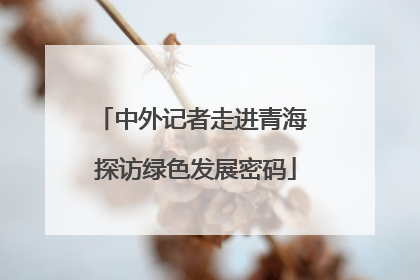 中外记者走进青海 探访绿色发展密码
