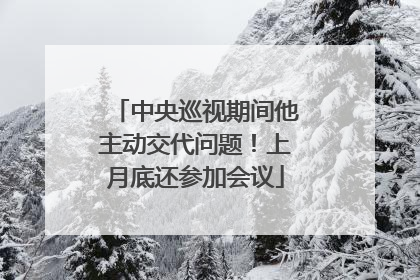 中央巡视期间他主动交代问题！上月底还参加会议