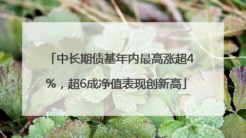 中长期债基年内最高涨超4%，超6成净值表现创新高