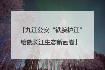 九江公安“铁腕护江”绘就长江生态新画卷