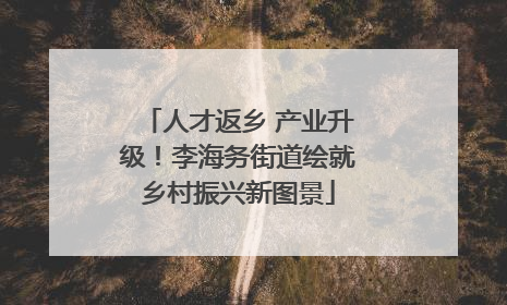 人才返乡 产业升级！李海务街道绘就乡村振兴新图景