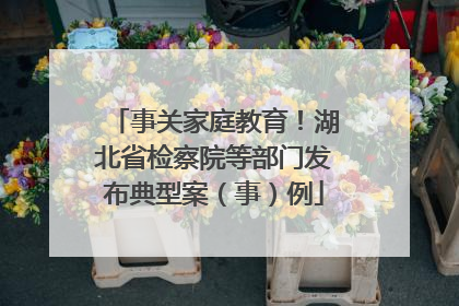 事关家庭教育！湖北省检察院等部门发布典型案（事）例