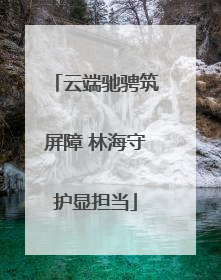 云端驰骋筑屏障 林海守护显担当