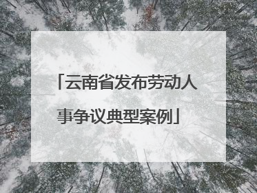 云南省发布劳动人事争议典型案例