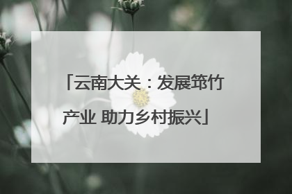 云南大关：发展筇竹产业 助力乡村振兴