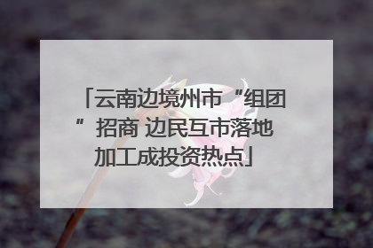 云南边境州市“组团”招商 边民互市落地加工成投资热点