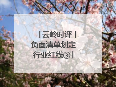 云岭时评丨负面清单划定行业红线③