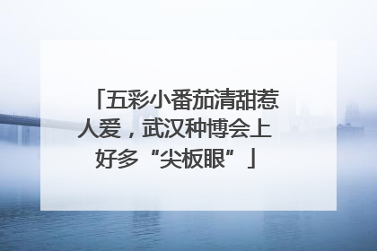 五彩小番茄清甜惹人爱，武汉种博会上好多“尖板眼”