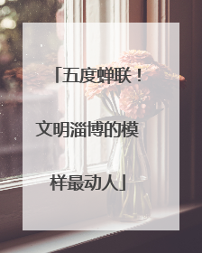 五度蝉联！文明淄博的模样最动人