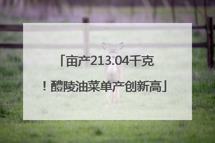 亩产213.04千克！醴陵油菜单产创新高